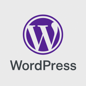 DISEÑO WEB WORDPRESS A MEDIDA